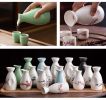 Ceramic Japanese Sake Pot Porcelain Sake Bottle Traditional Liquor Wine Jug #19